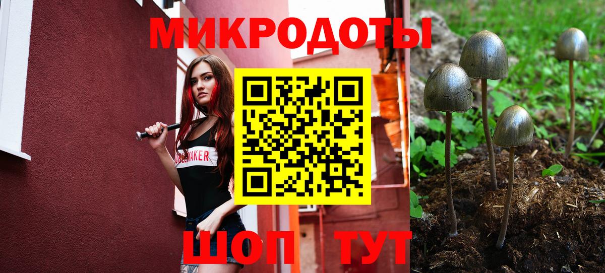 Галлюциногенные грибы Magic Shrooms Коркино